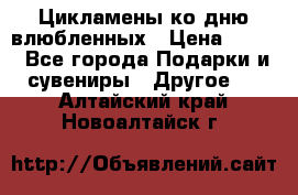 Цикламены ко дню влюбленных › Цена ­ 180 - Все города Подарки и сувениры » Другое   . Алтайский край,Новоалтайск г.